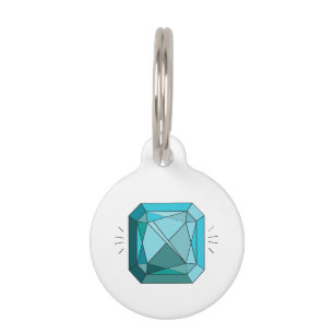 Médaillon Pour Animaux Aquamarine