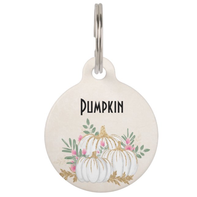 Médaillon Pour Animaux Aquarelle blanche et Citrouille or (Devant)