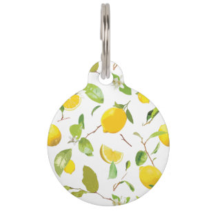Médaillon Pour Animaux Aquarelle Citron et Feuilles 2