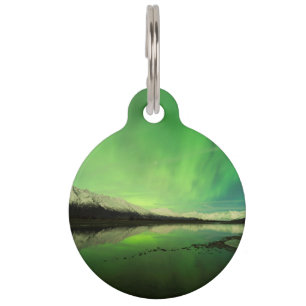 Médaillon Pour Animaux Aurora