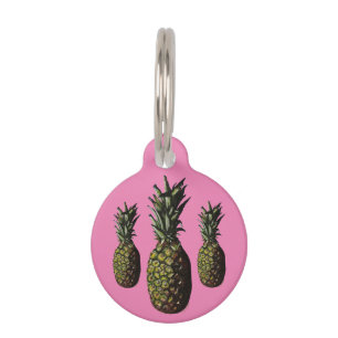 Médaillon Pour Animaux Balise ananas Round Pet - Personnalisation faculta