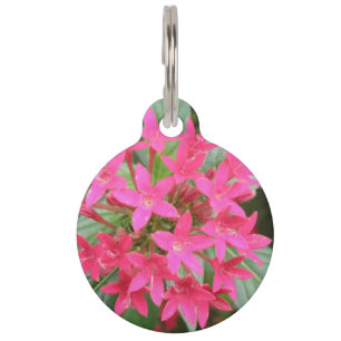 Médaillon Pour Animaux Balise Chien Fleurs Tropicales Roses Claires