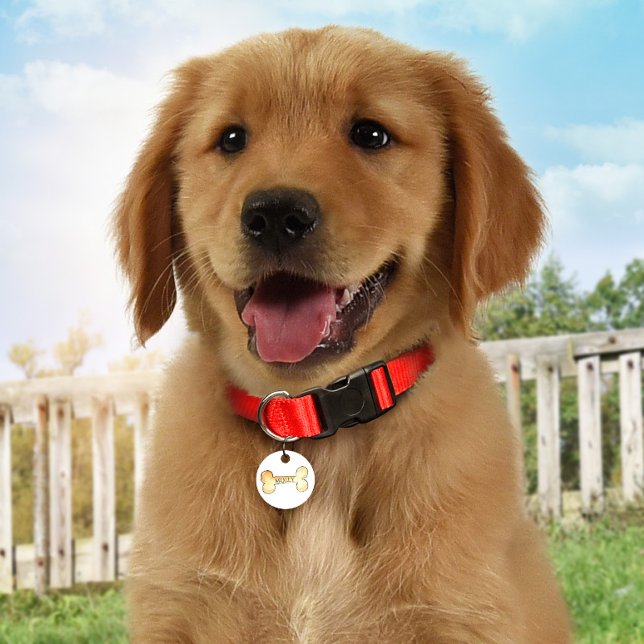 Médaillon Pour Animaux Balise Chien Os Personnalisé Monogramme ID Chien (Créateur téléchargé)