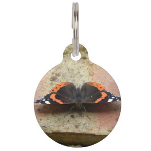 Médaillon Pour Animaux Balise Chien personnalisé de papillon de l'amiral