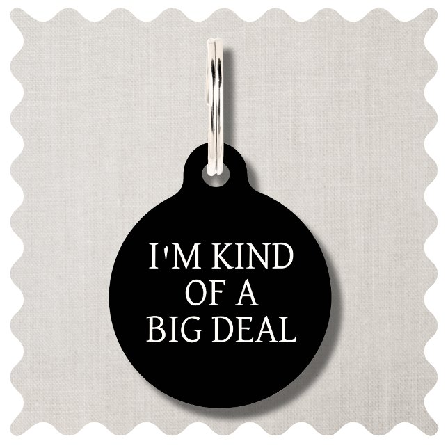 Médaillon Pour Animaux Balise de balise de chien rond simple et personnal (Funny "Im Kind of a Big Deal" Dog ID Tag in Modern Black)