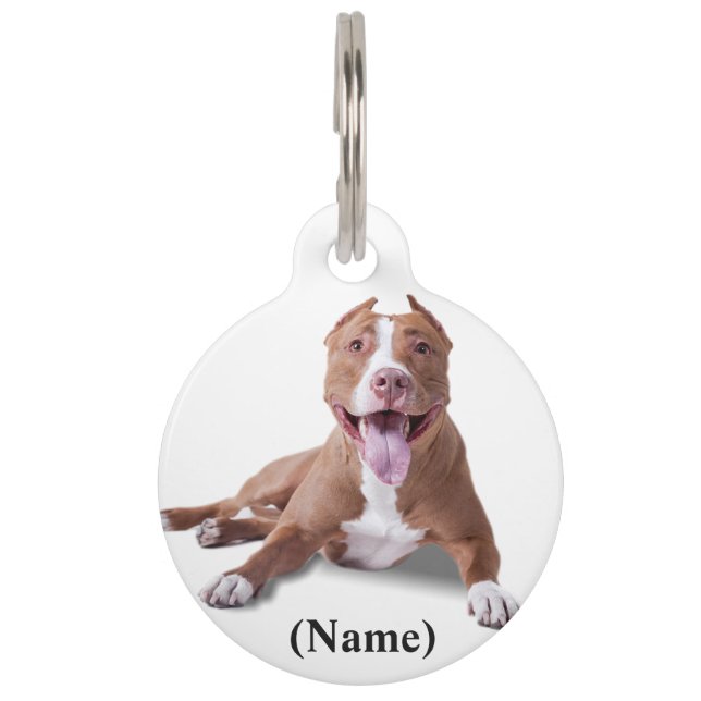 Médaillon Pour Animaux Balise/devis d'animal personnalisé arrondi (Devant)