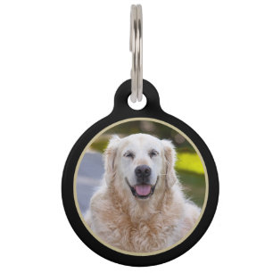 Médaillon Pour Animaux Balise d'identification d'animal de compagnie phot