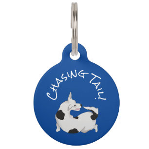 Médaillon Pour Animaux Balise d'identification de chien d'animal de compa