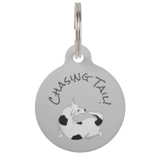 Médaillon Pour Animaux Balise d'identification de chien d'animal de compa