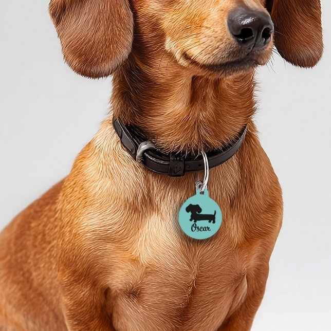 Médaillon Pour Animaux Balise d'identification de chien de Dachshund doub (dachshund mom gift - dog tag personalized for new wiener dogs)