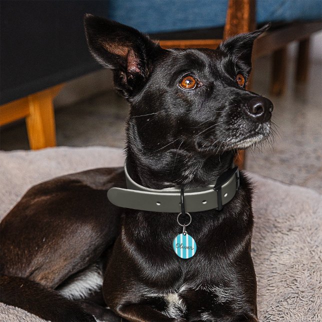 Médaillon Pour Animaux Balise d'identification de l'animal de compagnie p (Créateur téléchargé)