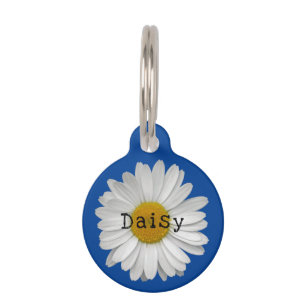 Médaillon Pour Animaux Balise Nom de la fleur de marguerite bleue Identif