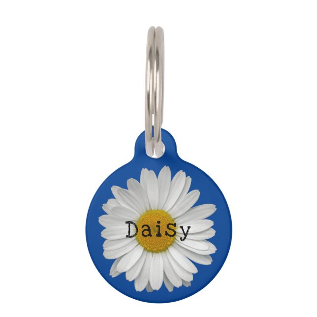 Médaillon Pour Animaux Balise Nom de la fleur de marguerite bleue Identif (Devant)