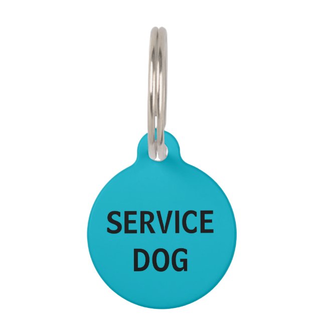 Médaillon Pour Animaux Balise Turquoise Service personnalisé chien animal (Devant)