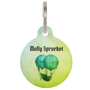 Médaillon Pour Animaux Ballons à air chaud Steampunk avec Vert navire