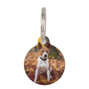 Médaillon Pour Animaux Basenji en automne Feuilles automne Inspiration