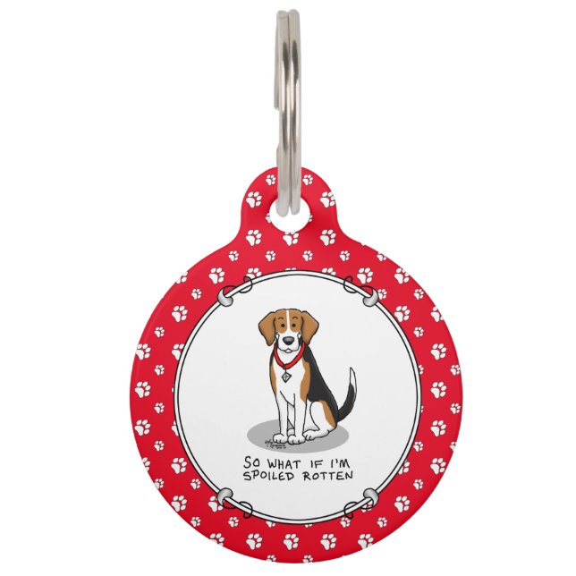 Médaillon Pour Animaux Beagle Pourri (tri couleur 3) Chien Drôle (Devant)