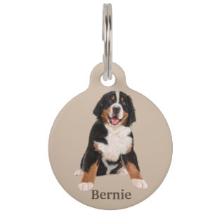 Médaillon Pour Animaux Bernois de montagne Personnaliser