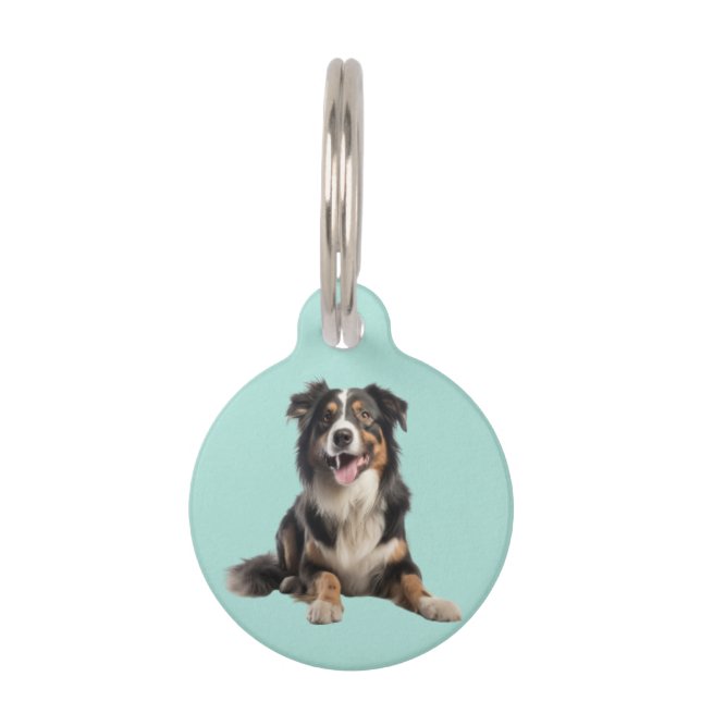 Médaillon Pour Animaux Black Merle Australian Shepherd | (Devant)