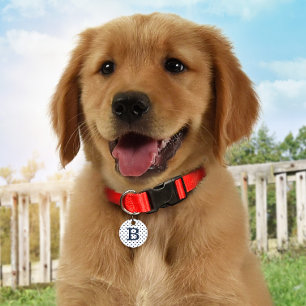 Médaillon Pour Animaux Bleu étoiles ID personnalisé Chien balise