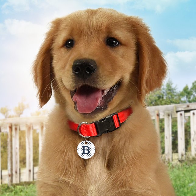 Médaillon Pour Animaux Bleu étoiles ID personnalisé Chien balise (Créateur téléchargé)