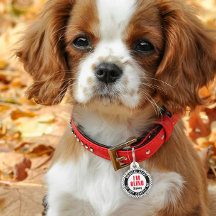 Blind Pet alerte Médicale Nom personnalisé Black R