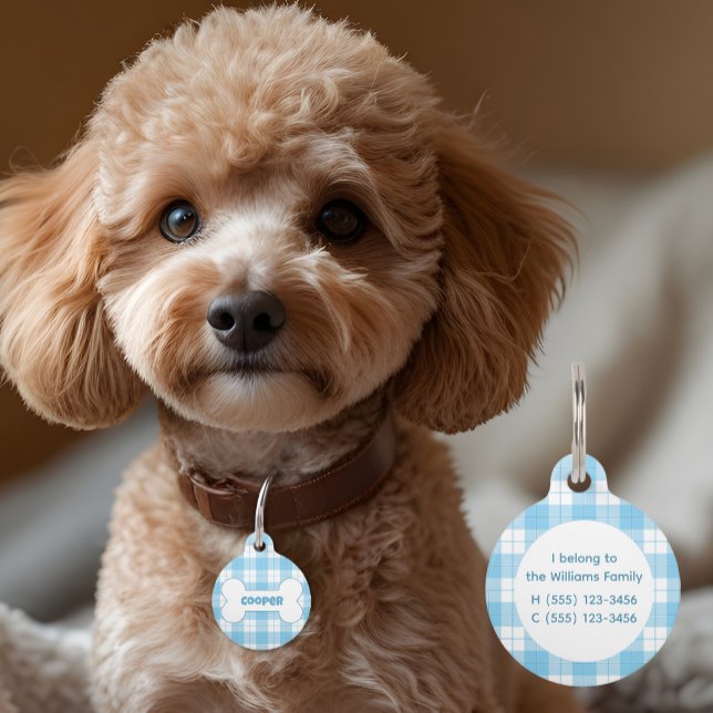 Médaillon Pour Animaux Blue White Plaid Pattern Name Bone  (Créateur téléchargé)