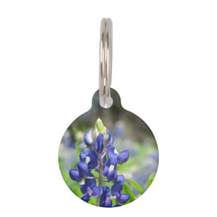 Médaillon Pour Animaux Bluebonnet