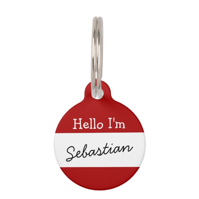 Médaillon Pour Animaux Bonjour Je suis Nom Balise ID personnalisé (Devant)