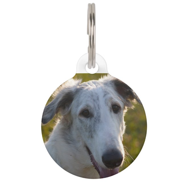 Médaillon Pour Animaux Borzoi Lévrier Russe Chien. (Devant)