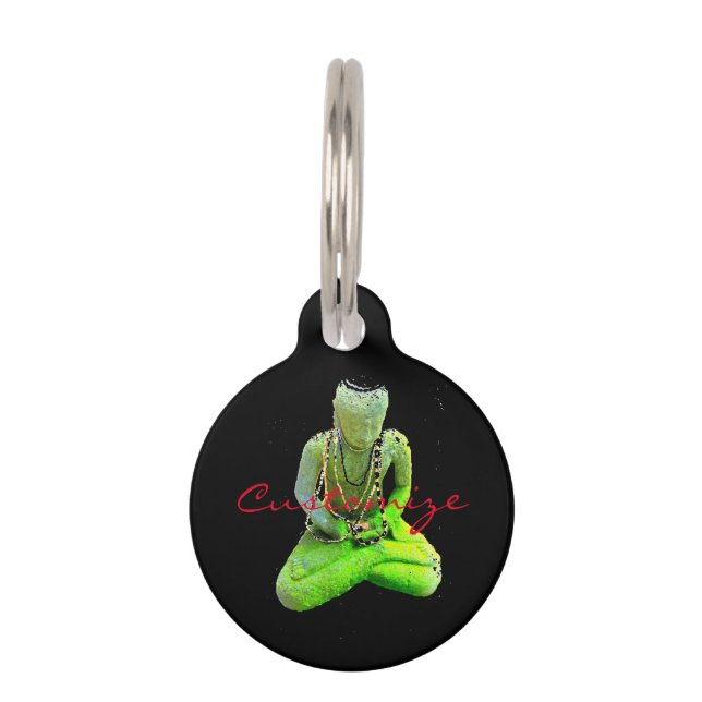 Médaillon Pour Animaux Bouddha vert moussu Thunder_Cove méditant (Devant)