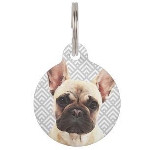 Médaillon Pour Animaux Bouledogue Français joueur