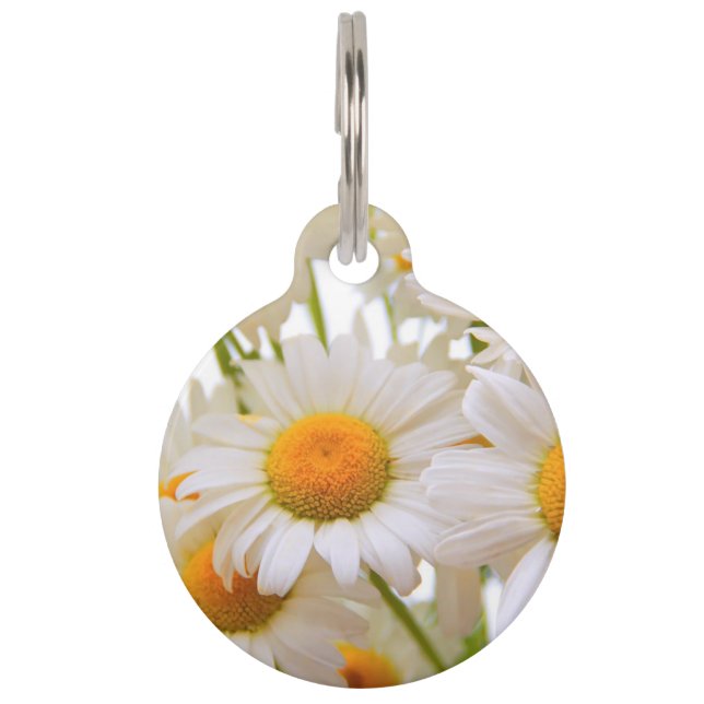 Médaillon Pour Animaux Bright Summer Daisies (Devant)