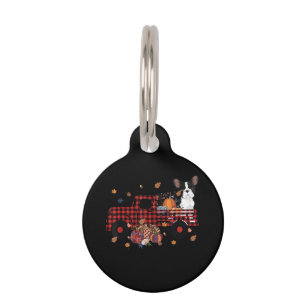 Médaillon Pour Animaux Cadeau de Thanksgiving Halloween camion citrouille