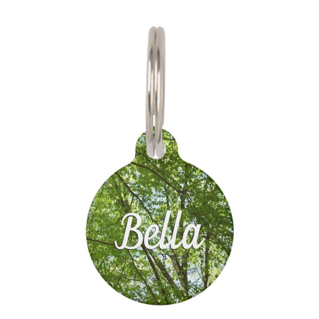 Médaillon Pour Animaux Canopée du printemps Feuille Green Nature Scene (Devant)