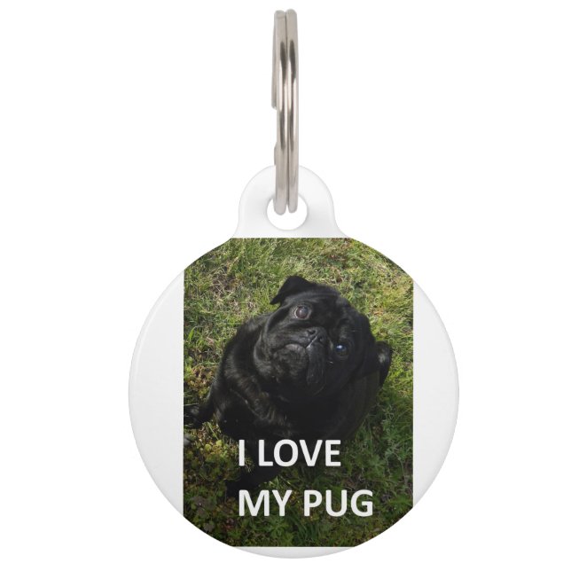 Médaillon Pour Animaux carlin noir amour avec pic (Devant)