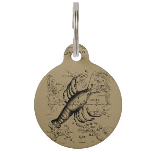 Médaillon Pour Animaux Carte vintage Hevelius 1690 de constellation de