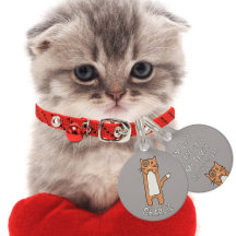 Cartoon Brown de chat blanc amusant Kawaii