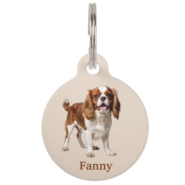 Médaillon Pour Animaux Cavalier King Charles Spaniel Personnalisé (Devant)