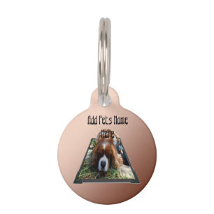 Médaillon Pour Animaux Cavalier Spaniel Popout Art,