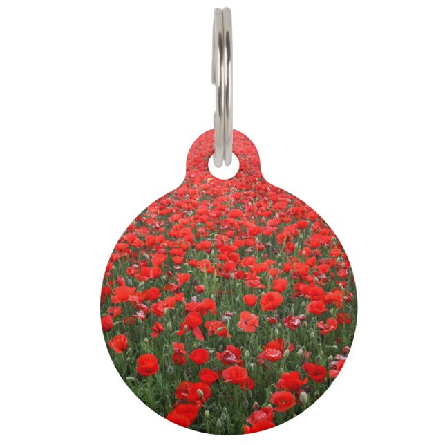 Médaillon Pour Animaux Champ des pavots rouges (Devant)