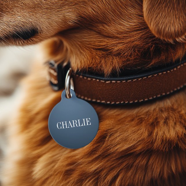 Médaillon Pour Animaux Charlie Classic Nom Monogramme | Marine (Créateur téléchargé)
