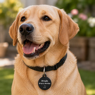 Médaillon Pour Animaux Chasseur de friandises – Sur mesure