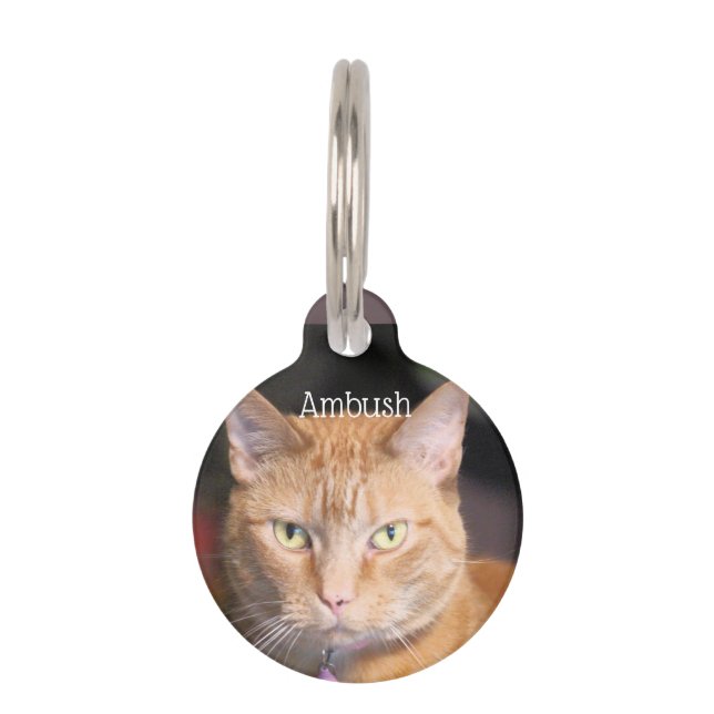 Médaillon Pour Animaux Chat       (Devant)