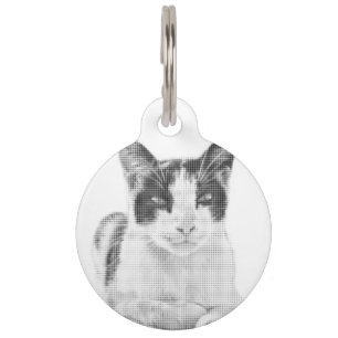 Médaillon Pour Animaux Chat calico minimal demi-teinte