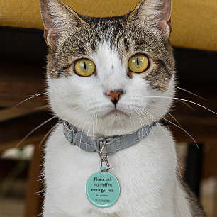 Médaillon Pour Animaux Chat, Kitten Balise perdue, Turquoise Petit 0,88"