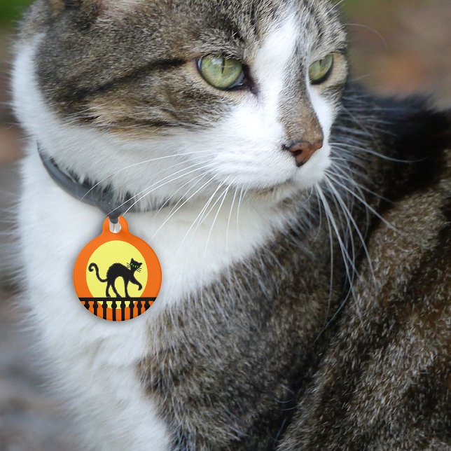 Médaillon Pour Animaux Chat noir Lune jaune Clôture (Black cat green eyes on fence full moon on orange pet name tag.)