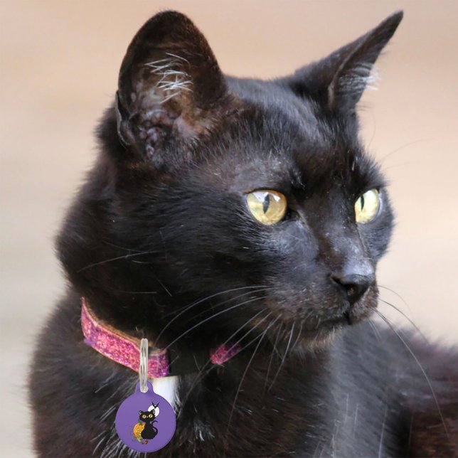 Médaillon Pour Animaux Chat noir violet Citrouille d'Halloween (Créateur téléchargé)