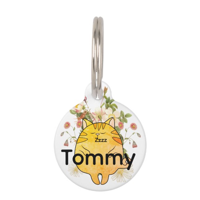 Médaillon Pour Animaux Chat roux endormi (Devant)