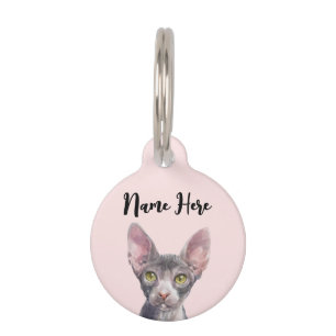Médaillon Pour Animaux Chat Sphynx Aquarelle Rose Mignon